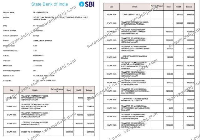 India State Bank of India account statement Word and PDF template, 2 pages, version 2